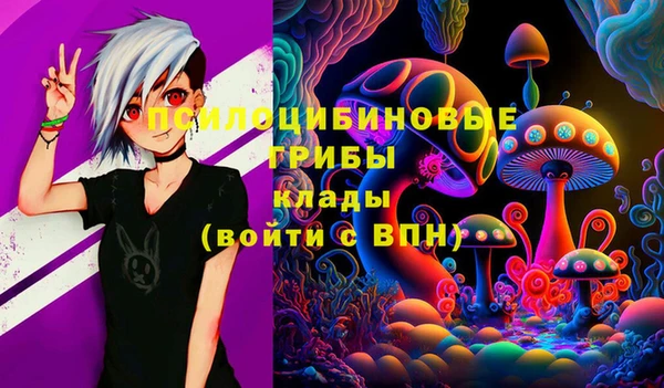 герыч Ладушкин