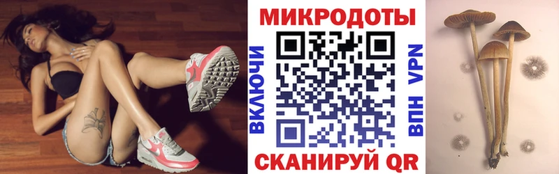 Купить закладки  Малаховка  Галлюциногенные грибы прущие грибы 